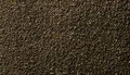 Dark Olive